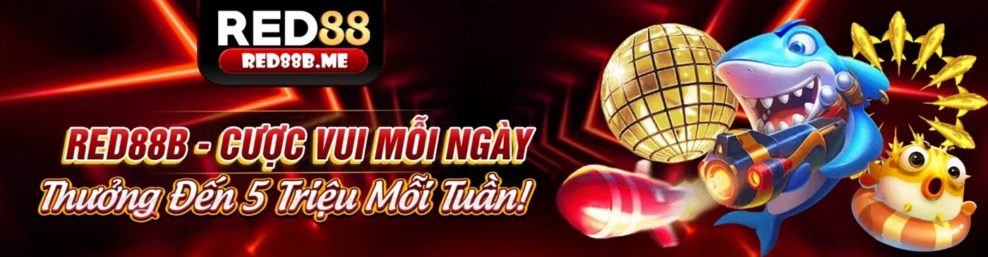 6ff.con Chính Sách Cookie - Cam kết bảo mật thông tin thành viên